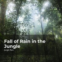 Daydream in the Woods - Nature and Rain & Deep Rain Sampling & Jungle Rain