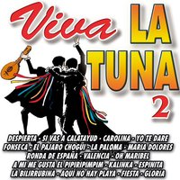 Despierta - Tuna Universitaria