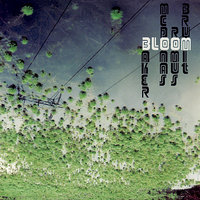 S.A.M. - Thollem McDonas & Jon Brumit & Rent Romus & Bloom Project