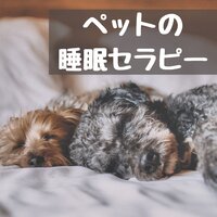心のケア - ペット療法
