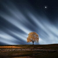 Real Life - The Sleep Helpers & Massage Therapy Music & Relajante