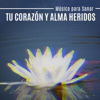 Meditación de Tranquilidad - La Academia de Música para la Meditación de Sanación