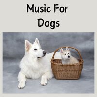 Mellow Sleep Music - Music for Dogs & Music for Dogs Peace & Relaxing Puppy Music & Calm Pets Music Academy
