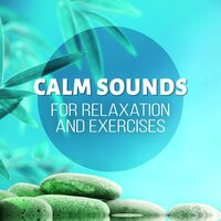Deep Meditation - Exercise Plan Club
