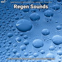 Regen Sounds, pt. 17 - Regengeräusche zum Einschlafen und Durchschlafen & Regengeräusche & Naturgeräusche