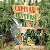 What Would You Do - Capital Letters