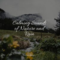Lofi Rain - Sound Sleeping & Weather Sounds & Yoga Rain