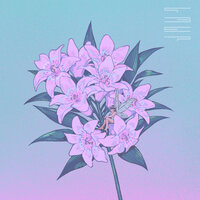 Along the Coast - tofubeats