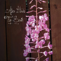 Yonder Hills - Allen Hinds & Vinnie Coaliuta & Matt Rohde & Jimmy Johnson