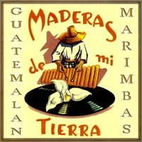 Olga - Marimba Maderas De Mi Tierra