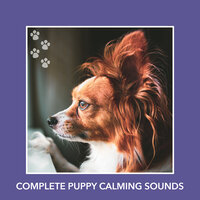 Dog Walk - Puppy Relaxation