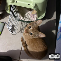Chicle Menta - Kumi