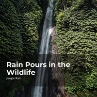 Murky Jungle Rainfall - Nature and Rain & Deep Rain Sampling & Jungle Rain