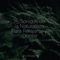 Determinación - Canciones Infantiles De Niños & Musica Relajante Para Dormir & Música De Relajación Para Dormir Profundamente