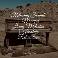 Peaceful Valley Morning - Background Piano Music & Piano Music & PianoDreams