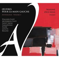 Six études, Op. 135: V. Elégie - Maxime Zecchini & Камиль Сен-Санс