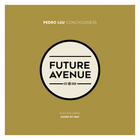 Conciousness - Pedro Luu
