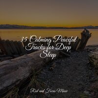 Sweet Dreams - Relaxing Mindfulness Meditation Relaxation Maestro & Kings of Nature & Baby Relax Music Collection