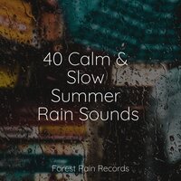 Forest, Morning, Birds, Bugs - Schlaflieder Relax & Childrens Music & 125 Nature Sounds