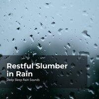 Downpour at Nighttime - Deep Sleep Rain Sounds & Rain Sounds Collection & Rain Meditations
