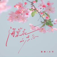 海棠花的思念 - 大可