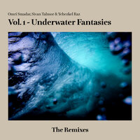 Corals Under The Sun - Sivan Talmor & Yehezkel Raz & Omri Smadar