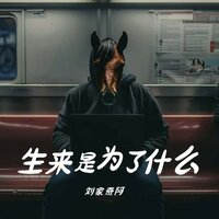 生来是为了什么 - 刘家奇阿