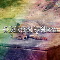 В сезон дождей - Rain Sounds XLE Library