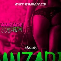 Amizade Colorida - DJ PND & MC VN Cria & DJ P4K & MC Furi SP