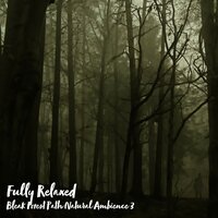 Bleak Forest Path Natural Ambience, Pt. 14 - Steve Brassel