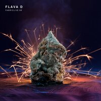 Hold On - Flava D