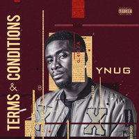 Forever in the Zone - YNUG
