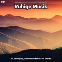Ruhige Musik pt. 13 - Entspannungsmusik Jakob Kohs & Schlafmusik & Entspannungsmusik