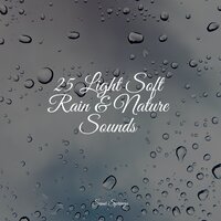 Morning Window Rain - Sound Healing Center & Regen zum Schlafen & Thunder Storm