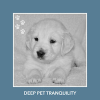 Collected Spa - Relaxing Dog Music