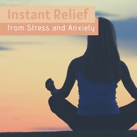 Peaceful Melodies - Quiet Music Academy