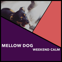Friendly Doggy Love - Puppy Music & Puppy Music Therapy
