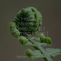 Soft Calming Music - Tinnitus Aid & Relax Meditation Sleep & Guided Meditation Music Zone