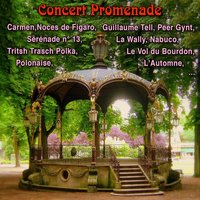 Schwanengesang, D. 957: No. 4, Ständchen - Philadelphia Orchestra & Eugene Ormandy & Франц Шуберт