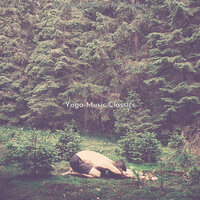 Stylish Hatha Yoga Kriyas - Yoga Music Classics