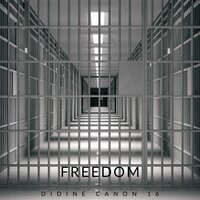 Freedom - Didine Canon 16