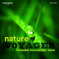 Jungle Birds - Stefano Torossi & Claudio Prosperini & Pierluigi Campili & Marco Vannozzi & Stefano Torossi, Pierluigi Campili, Claudio Prosperini, Marco Vannozzi