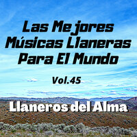 Que Pena - Llaneros del Alma