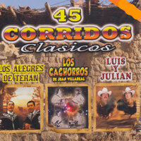 El Gato - Los Alegres De Teran