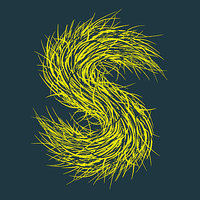 Sonic Glimpses - Strings Of Consciousness & Barry Adamson