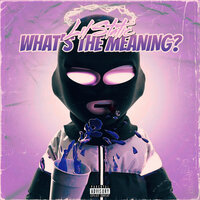 What's the Meaning? - lil static