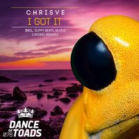 I Got It - ChrisVe