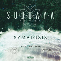 Kelp Forest - Aleyum & Suduaya