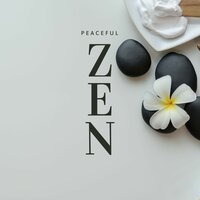 Gentle Waves - Pure Massage Music