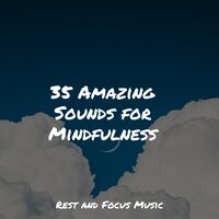 Softest Leaves - Relaxing Mindfulness Meditation Relaxation Maestro & Study Power & Hipnose Natureza Sons Coleção